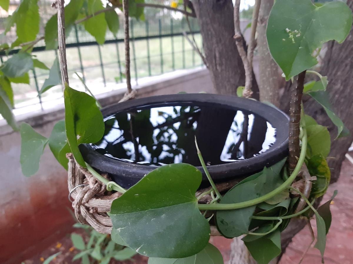 Agsara Home Stay Coimbatore Esterno foto